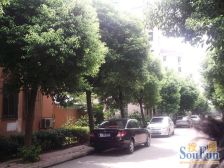 南北通低楼层大三房,03年的现浇商品房,带车位
