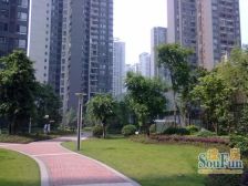 鲁能精装大三房 居家安静 视野采光好