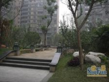 中大君悦金沙一二期 3室1厅 东