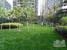 中海格林威治城 3室1厅 西