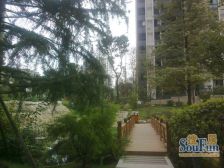 庆业九寨印象 3室1厅 东 东南