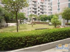 杏林桥头老城区 低总价 楼层好