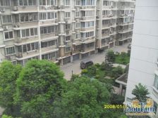 近周浦小上海步行街 总价低小两房 有傅雷