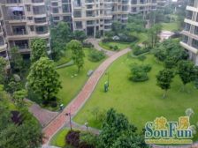 宽敞大平层,适合三代同堂,朝南向,精装修