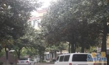 全明户型,采光通风俱佳,总价低,好位置,繁华商圈