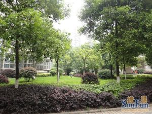 得房率很高地税局五分局单位房采光好