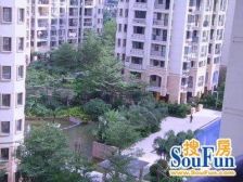 三叉街纯商品房小高层,精装修拎包入住,满意价格可谈