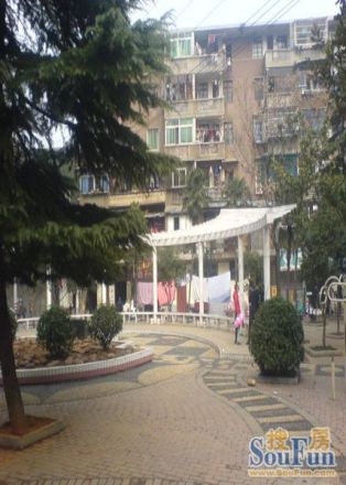 杨铭园