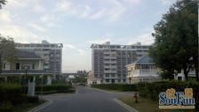 成功家园(公寓)4室2厅南