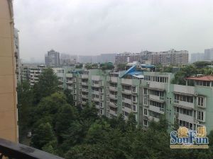 川大花园(南园)3室2厅南