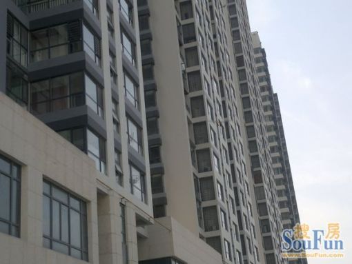 河东区万达广场1室1厅1卫南朝向3800.00元/月出租
