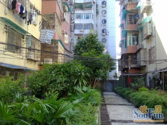 江南大道中小区