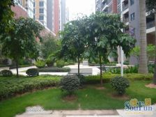 地铁口小区 大三房户型 家门口体育公园 居家合适户型