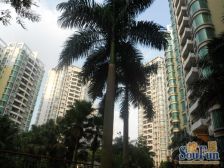 健逸天地,精装三房朝南,业主诚意出售