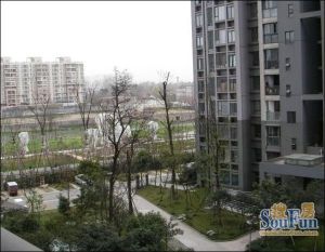 三度空间1室1厅南