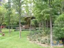 房子满五年 现代装修 装修保养好 电梯高层 采光视野好