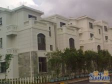 碧桂园三期独栋别墅 带400方花园