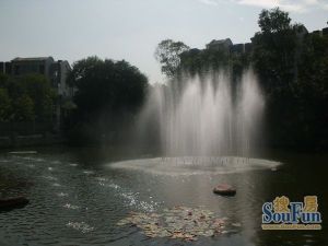 蓝光四叶城2室1厅南