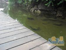 红城 1室0厅 东北