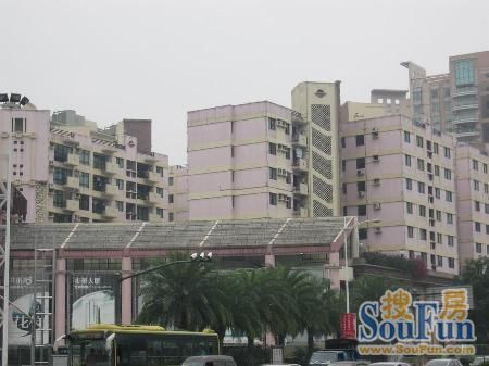 东城商贸花园