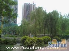 小区安静舒适,离市场近,离地铁口近