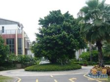 沿海丽水佳园 精装联排别墅 使用空间足 采光好