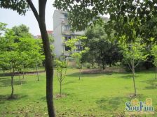 花园住宅大1房+中间楼层采光好+产权清晰到价签字