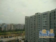 红帆蓝调 1室0厅 南