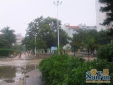 红旗海华新村1室1厅南