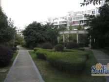 凯莱丽景雅筑 3室2厅 东南