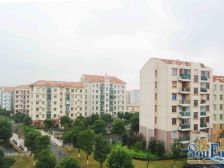 门店聚集,大虹桥板块,楼层好,花园洋房,别墅小区