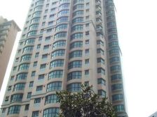 新鸿基打造+品质小区+带会所+地铁口+大三房带产权车位