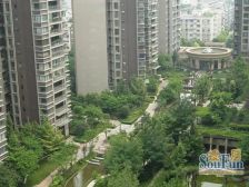 大地新光华广场 1室1厅 东 北