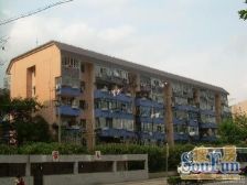 精装修 正南一房一厅 一梯三户 全明