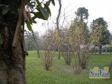 时代尊城 5室2厅 东 西