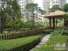 临东城精致2房,好楼层,朝南朝小区户型通透