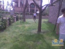 童家溪 中安长岛六区五房978.5万