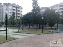 业主诚心出售,过五唯一 免个税