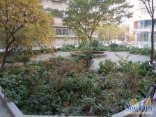 小西湖 地铁口 可按揭 采光好户型正