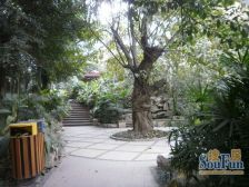 回兴 旭辉新里城三房110万