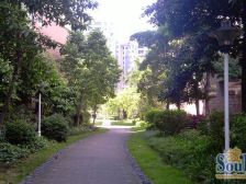 金域湾电梯中层,精装四房,朝向靓,