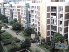 凯莱丽景雅筑 3室2厅 东南