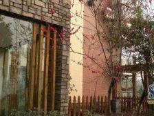 南坪商圈大两室,价格美丽,拎包入住