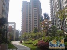 六一路上,棕榈泉国际花园,顶楼户型,使用面积大。