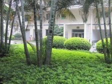 业主诚心出售,中高楼层视野开阔,可以拎包入住