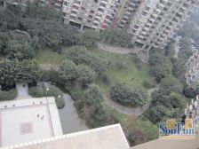 罗浮世家二期 3室1厅 西南