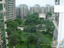 名雅花园 中高楼层 一房一厅 方便看房