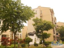 18号线沈梅路,张江南阁楼房,南北通户型,房东诚心出售