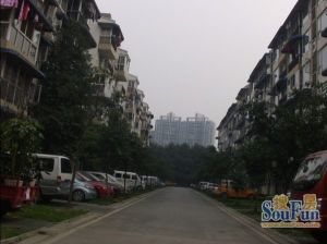 金泉阳光雅新苑2室2厅西南