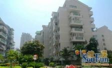 复式楼 带露台,可看光明港公园